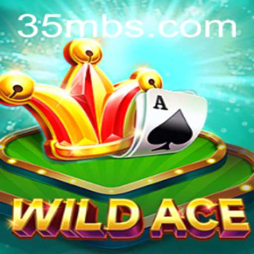 WildAce: The Ultimate Card Game Experience